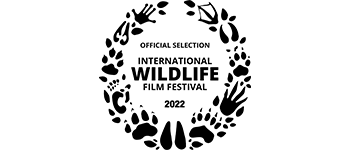 HitPlay Productions / Last of the Right Whales / International Wildlife Film Festival Official Selection 2022