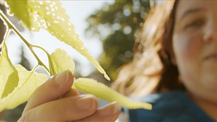 1047 Days / Ashley touching leaf