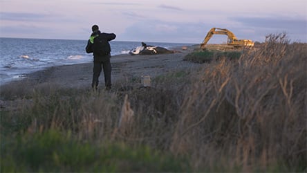 Last of the Right Whales / Nick with Wolverine